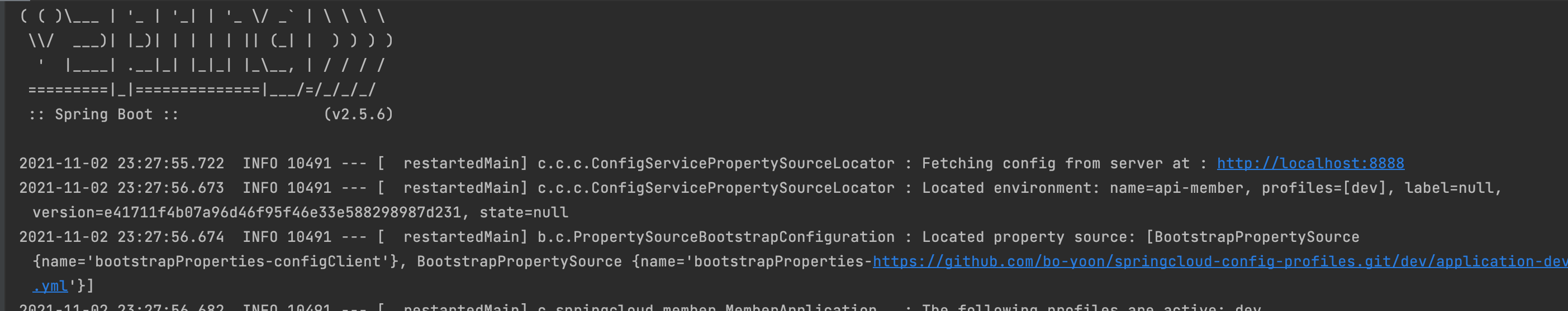 toy project-msa: Spring Cloud Config