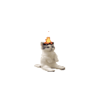 Velog profile picture for @bowman
