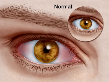 comment-user-thumbnail