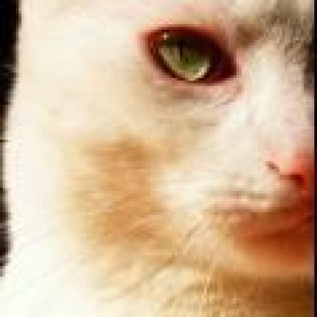 comment-user-thumbnail