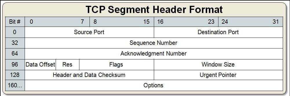 TCP 헤더