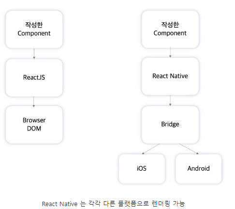 React와 RN의 차이