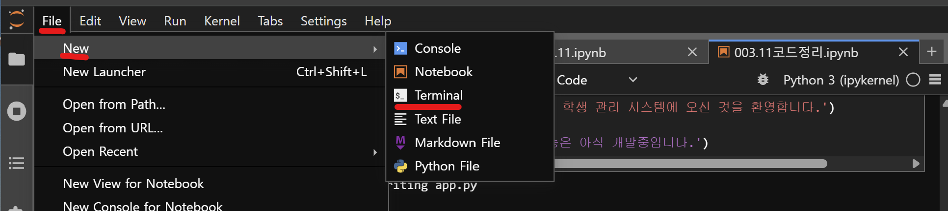 Streamlit Terminal streamlit
