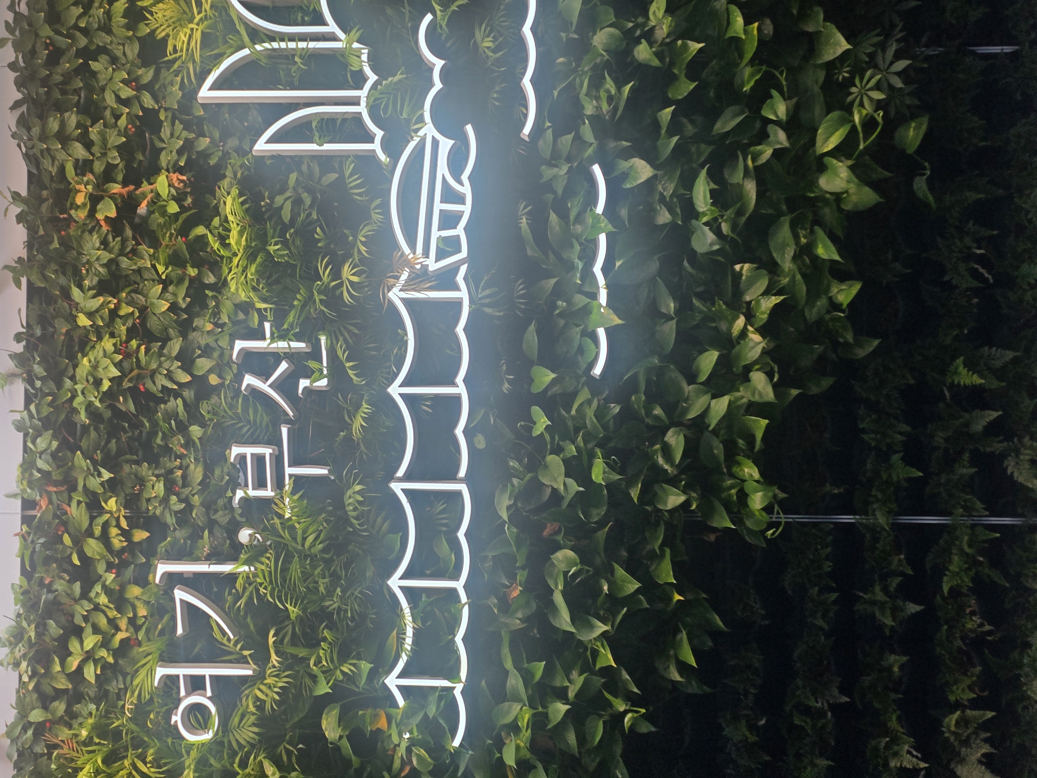 comment-user-thumbnail