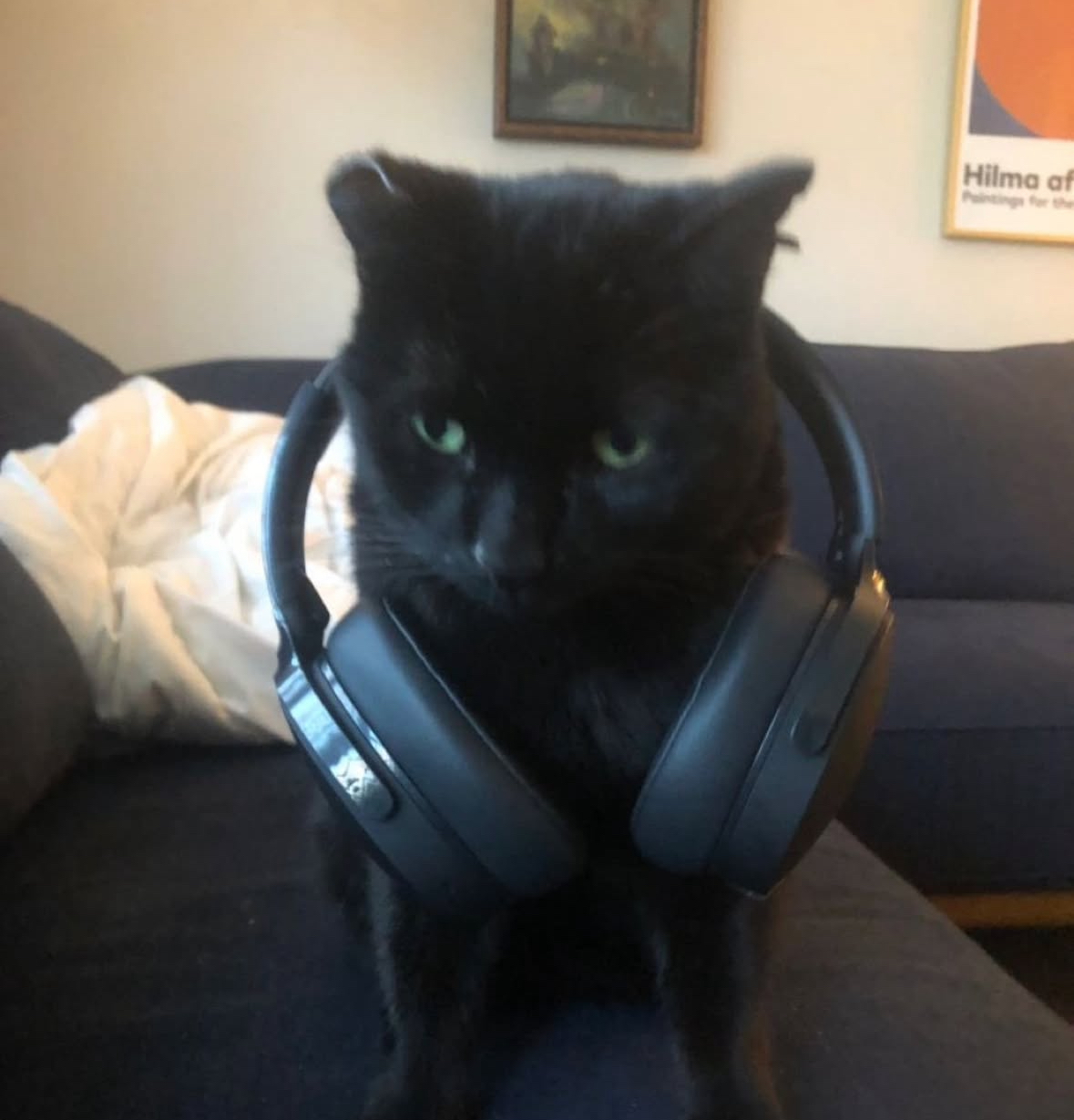 comment-user-thumbnail