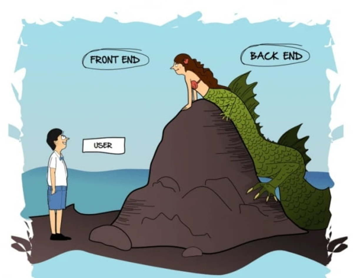 웹 세계가 이런줄은 몰랐지 내가