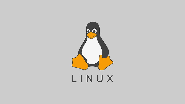 Linux UID , GID