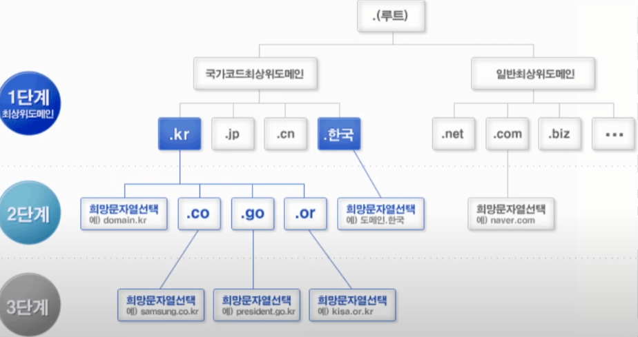 Network-6