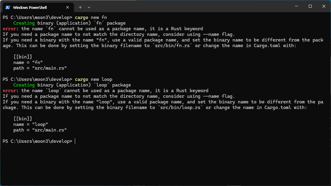 Rust New Project 만들기