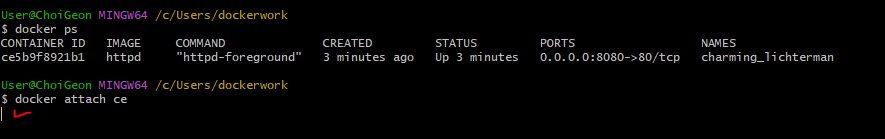 Docker exec & attach