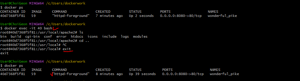 Docker exec & attach