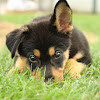 comment-user-thumbnail