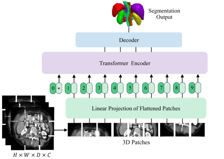 UNETR: Transformers for 3D Medical Image Segmentation