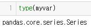 시리즈 자료형 확인