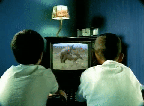 computer