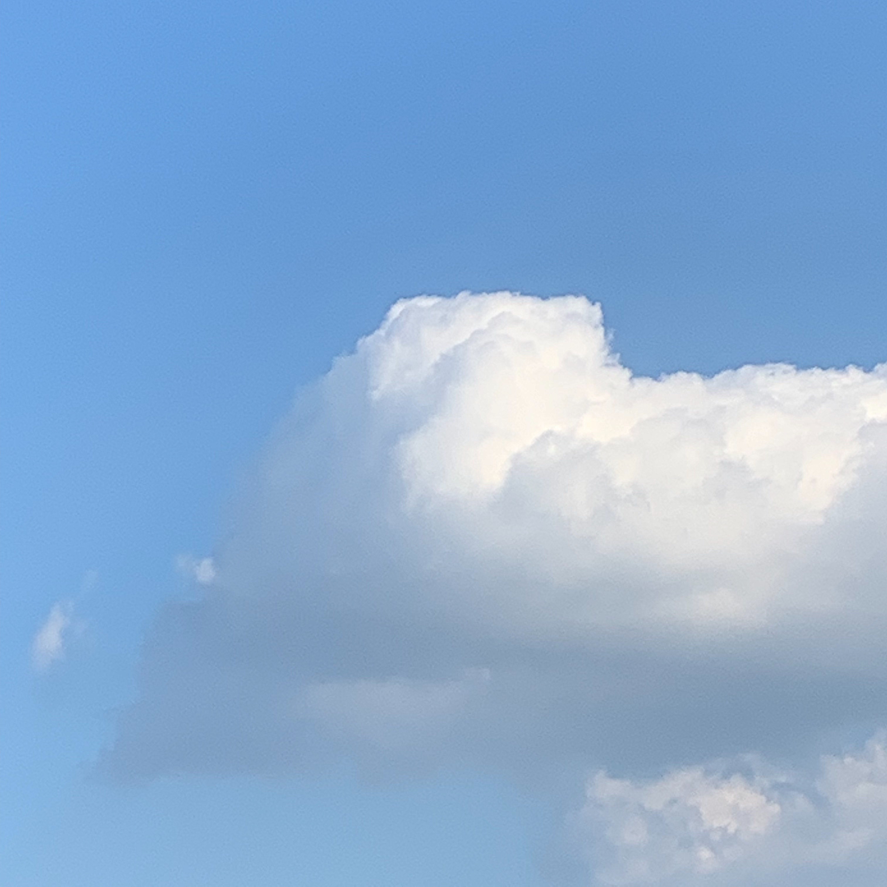 comment-user-thumbnail