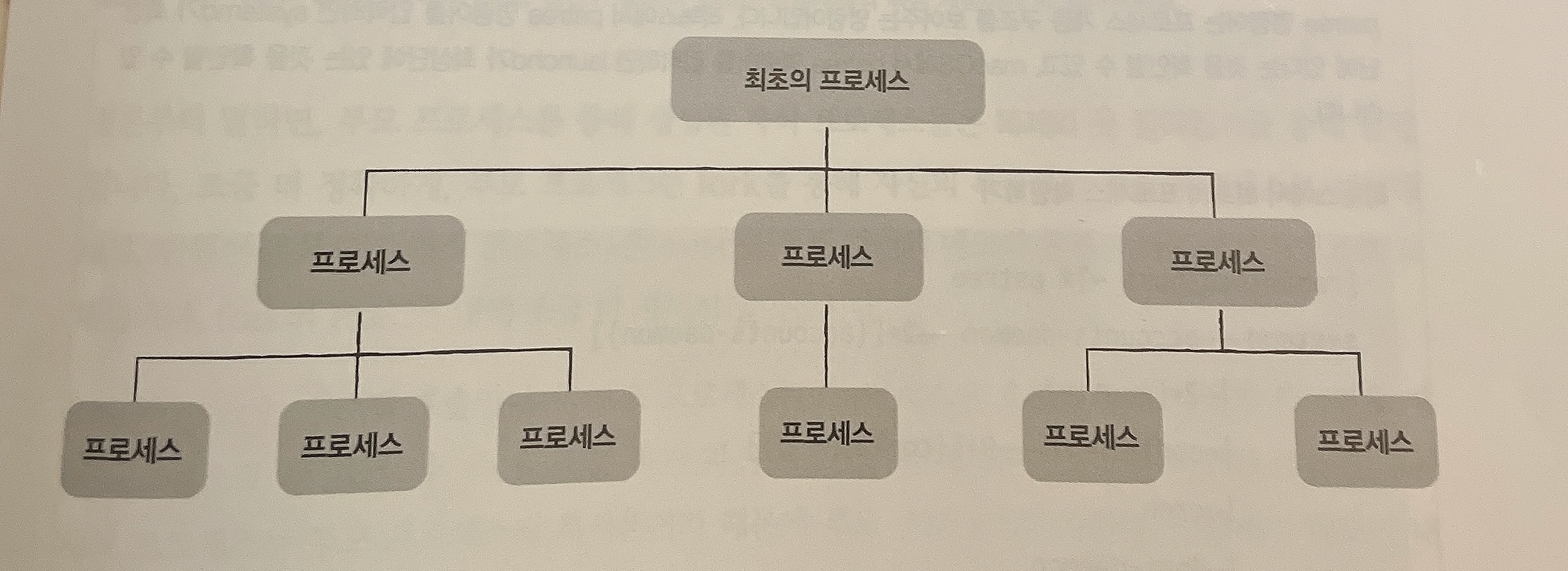 계층구조