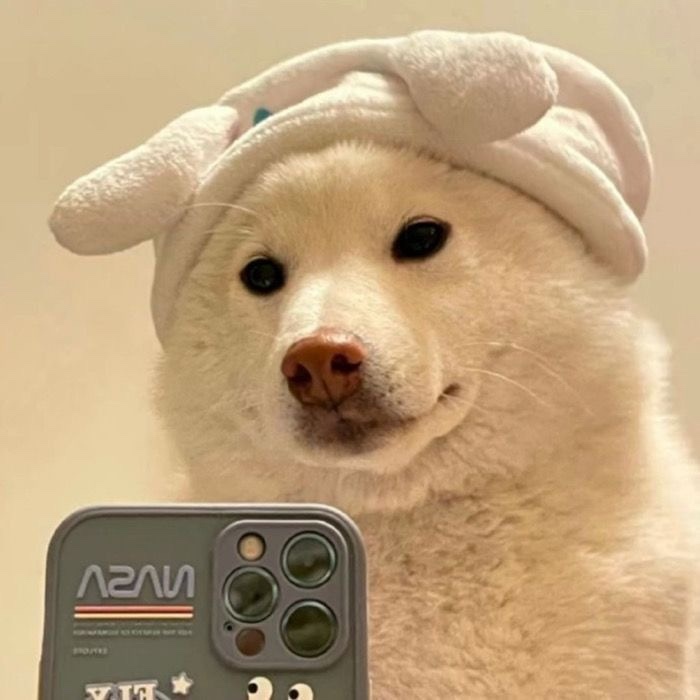 comment-user-thumbnail