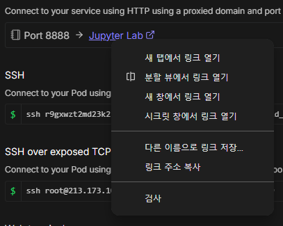 Runpod 주소 복사 화면