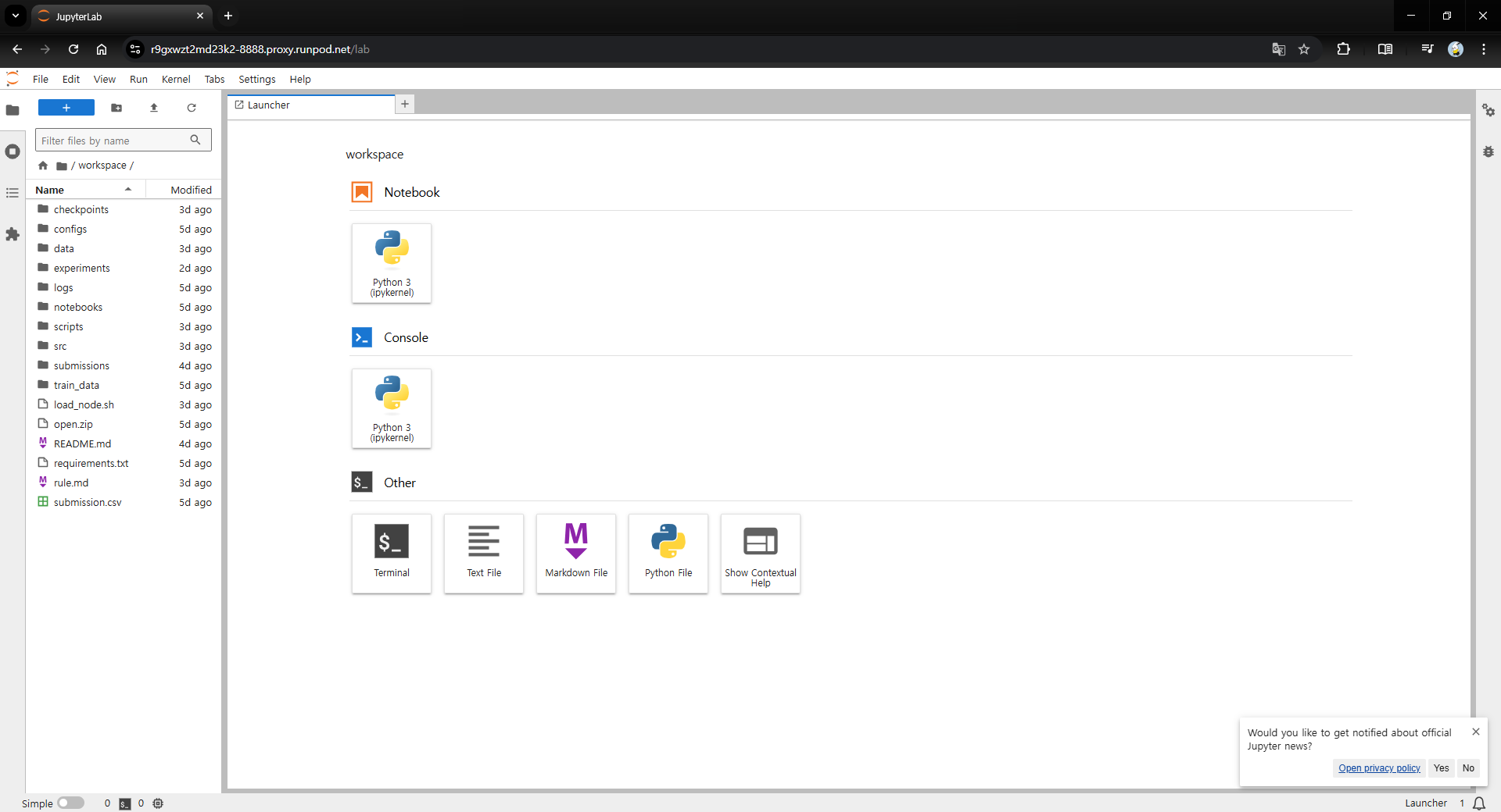 Runpod Jupyter Lab 화면