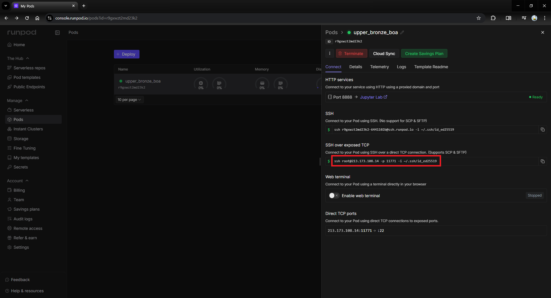 Runpod Pod 정보 화면