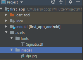 [Flutter]-Image 위젯