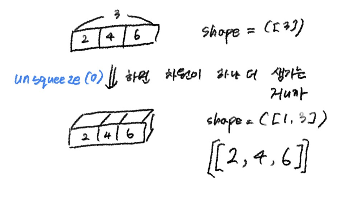 [Pytorch] torch.unsqueeze(x, dim)