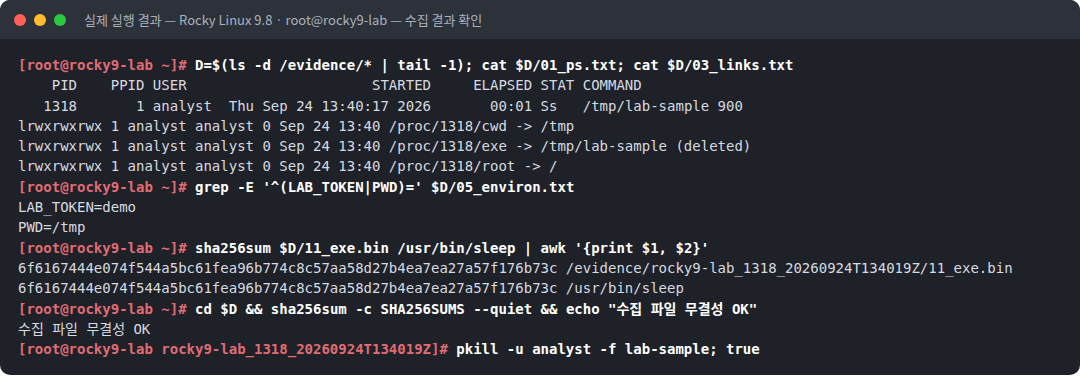 실제 실행 결과 — Rocky Linux 9.8 · root@rocky9-lab — 수집 결과 확인