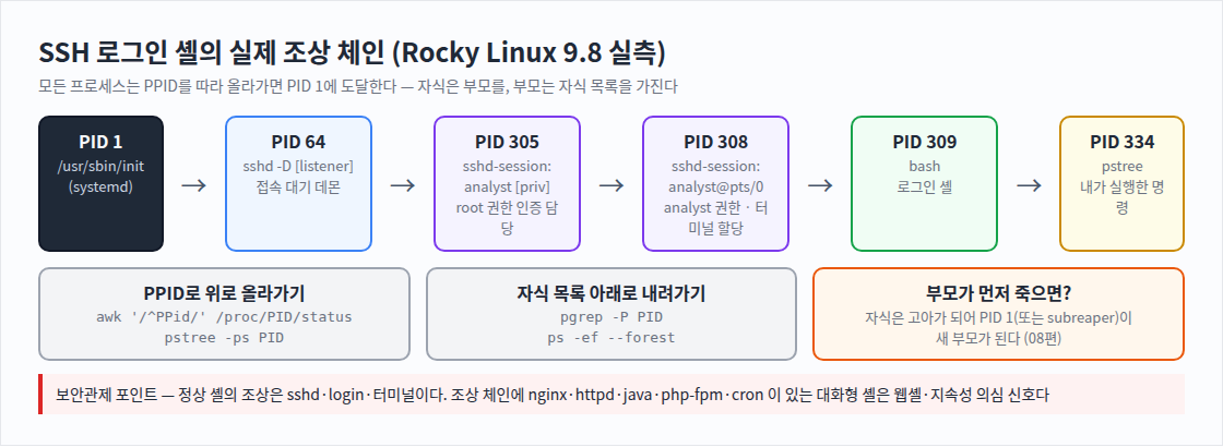 SSH 로그인 셸의 실제 조상 체인 (Rocky Linux 9.8 실측)