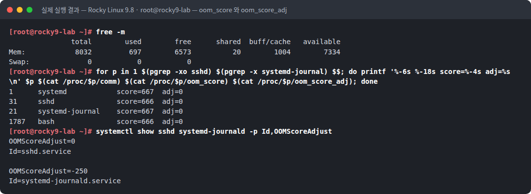 실제 실행 결과 — Rocky Linux 9.8 · root@rocky9-lab — oom_score 와 oom_score_adj