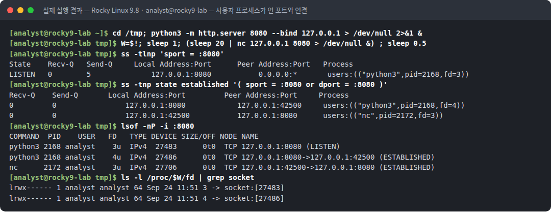 실제 실행 결과 — Rocky Linux 9.8 · analyst@rocky9-lab — 사용자 프로세스가 연 포트와 연결