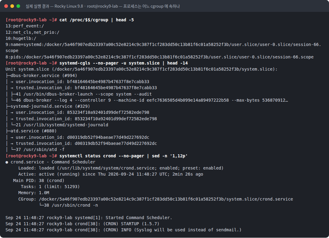 실제 실행 결과 — Rocky Linux 9.8 · root@rocky9-lab — 프로세스는 어느 cgroup 에 속하나