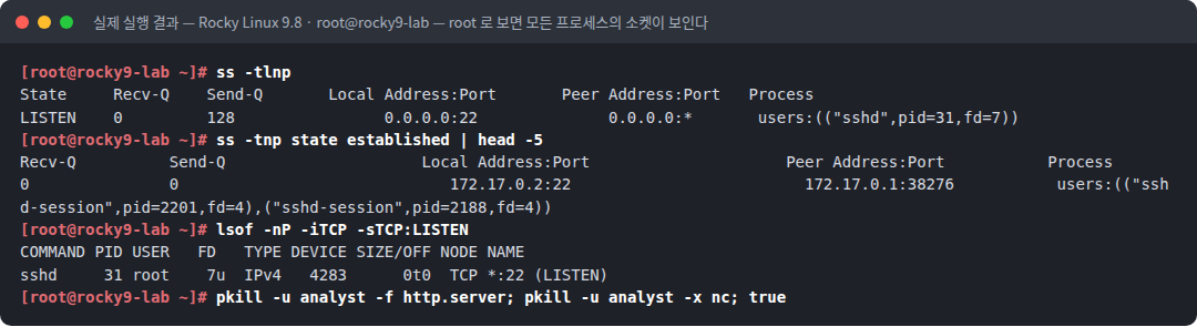 실제 실행 결과 — Rocky Linux 9.8 · root@rocky9-lab — root 로 보면 모든 프로세스의 소켓이 보인다