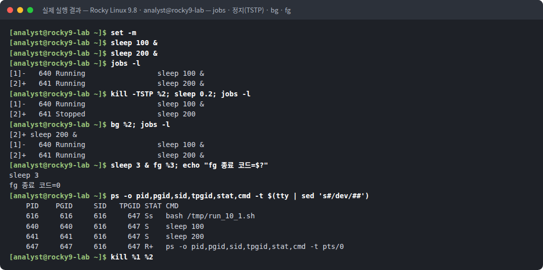 실제 실행 결과 — Rocky Linux 9.8 · analyst@rocky9-lab — jobs · 정지(TSTP) · bg · fg