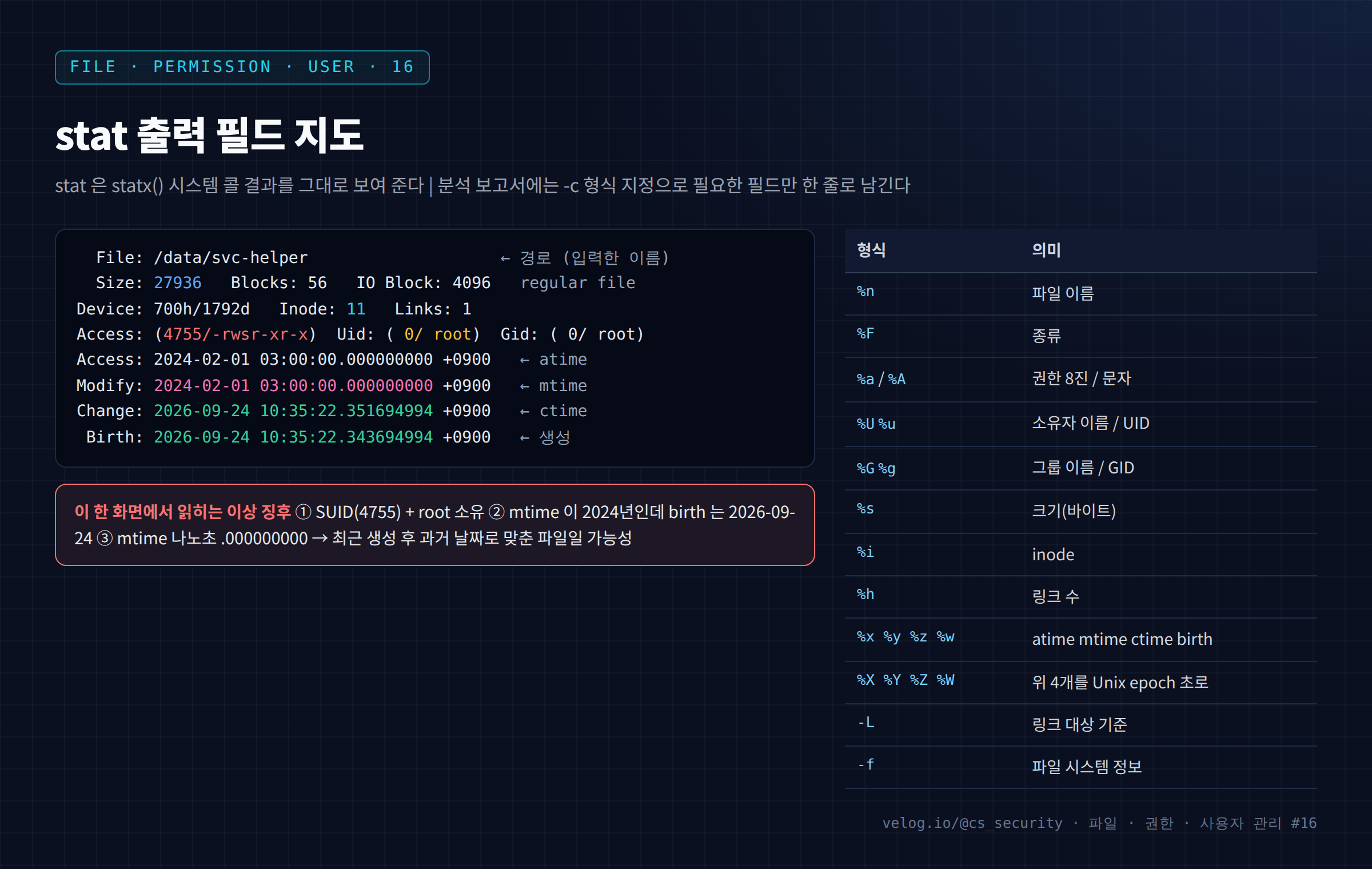 stat 출력 필드 지도