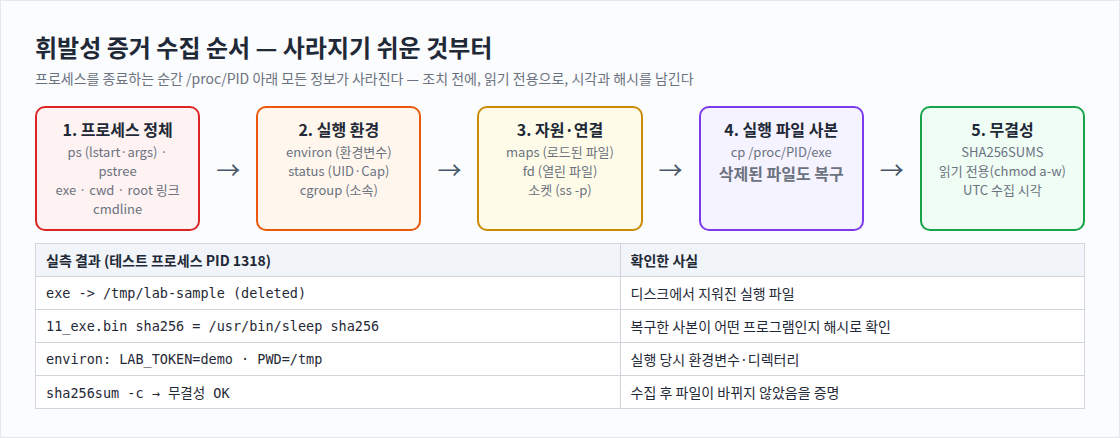 휘발성 증거 수집 순서 — 사라지기 쉬운 것부터