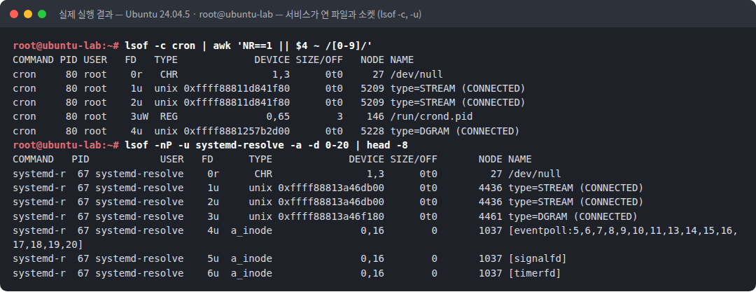 실제 실행 결과 — Ubuntu 24.04.5 · root@ubuntu-lab — 서비스가 연 파일과 소켓 (lsof -c, -u)