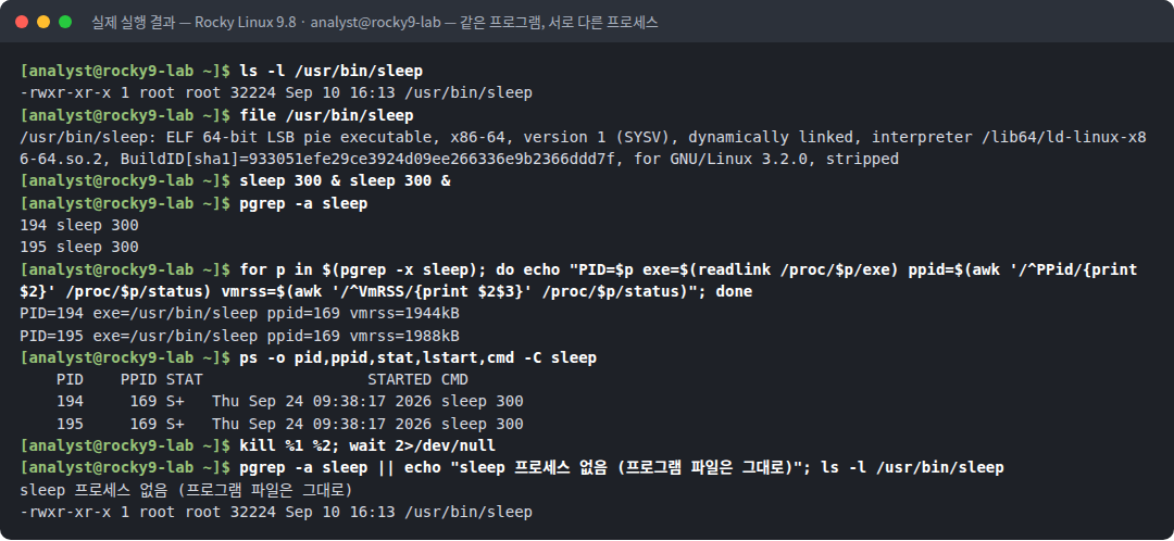 실제 실행 결과 — Rocky Linux 9.8 · analyst@rocky9-lab — 같은 프로그램, 서로 다른 프로세스