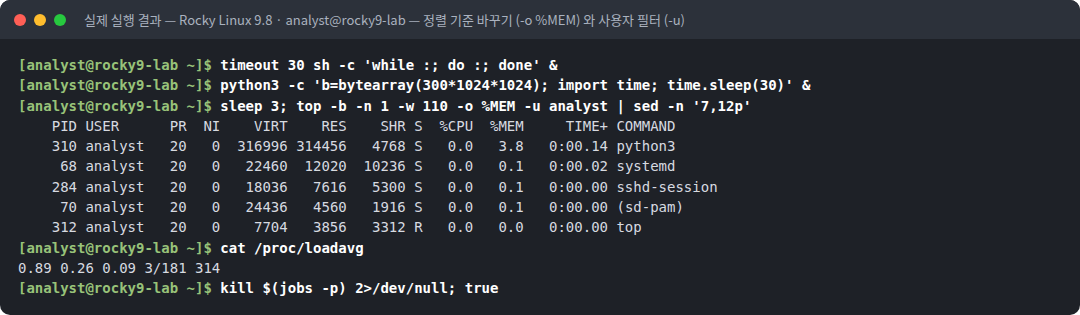 실제 실행 결과 — Rocky Linux 9.8 · analyst@rocky9-lab — 정렬 기준 바꾸기 (-o %MEM) 와 사용자 필터 (-u)