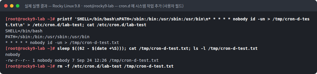 실제 실행 결과 — Rocky Linux 9.8 · root@rocky9-lab — cron.d 에 시스템 작업 추가 (사용자 필드)
