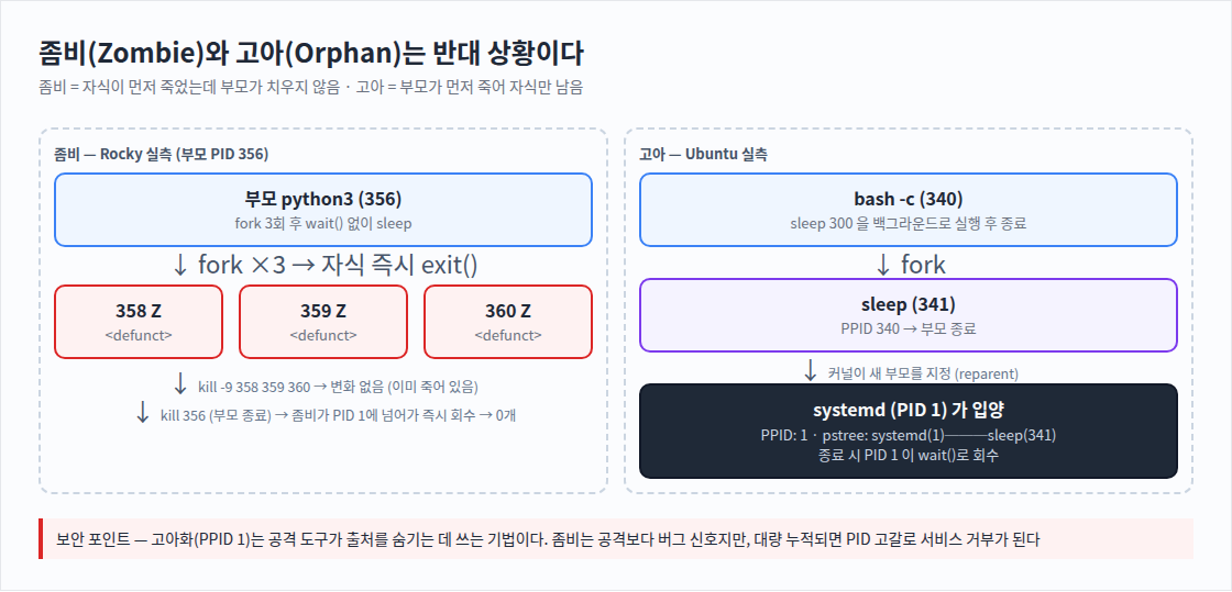좀비(Zombie)와 고아(Orphan)는 반대 상황이다