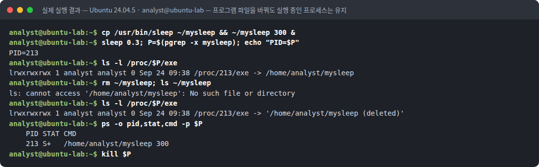 실제 실행 결과 — Ubuntu 24.04.5 · analyst@ubuntu-lab — 프로그램 파일을 바꿔도 실행 중인 프로세스는 유지
