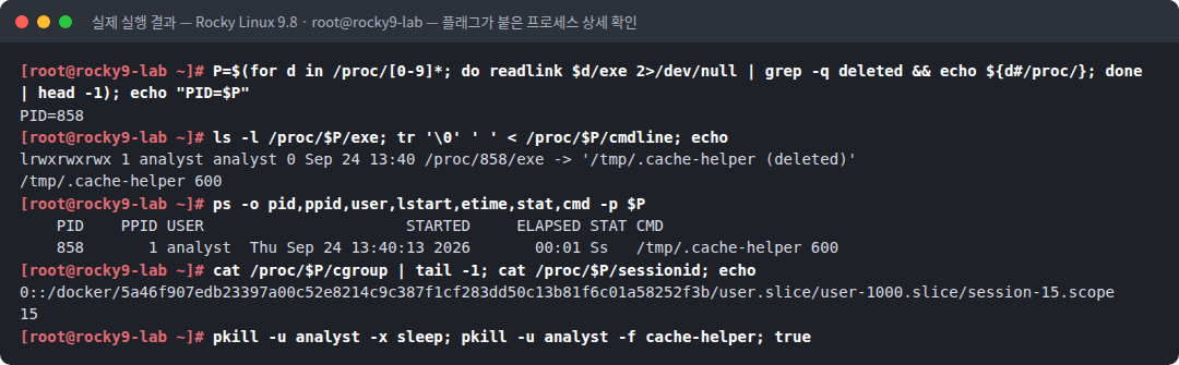 실제 실행 결과 — Rocky Linux 9.8 · root@rocky9-lab — 플래그가 붙은 프로세스 상세 확인