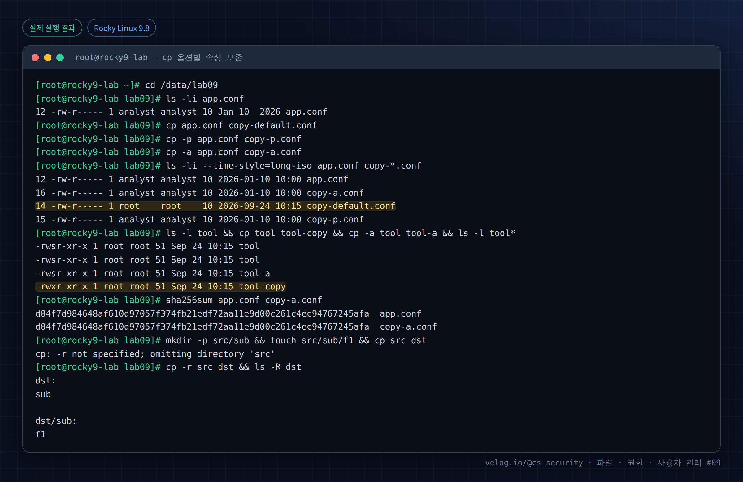 실제 실행 결과 — Rocky Linux 9.8 · root@rocky9-lab — cp 옵션별 속성 보존