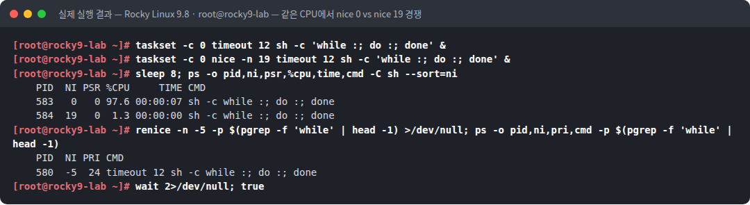 실제 실행 결과 — Rocky Linux 9.8 · root@rocky9-lab — 같은 CPU에서 nice 0 vs nice 19 경쟁
