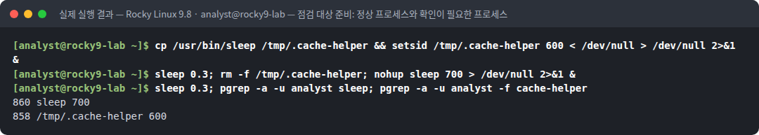 실제 실행 결과 — Rocky Linux 9.8 · analyst@rocky9-lab — 점검 대상 준비: 정상 프로세스와 확인이 필요한 프로세스