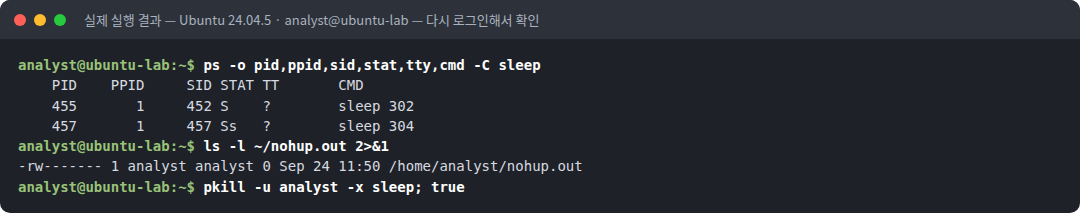 실제 실행 결과 — Ubuntu 24.04.5 · analyst@ubuntu-lab — 다시 로그인해서 확인