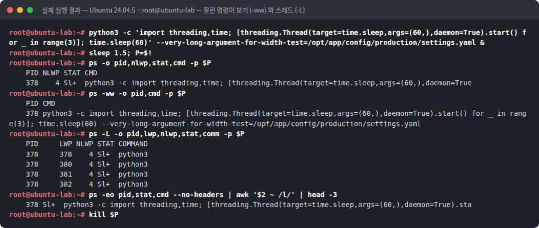 실제 실행 결과 — Ubuntu 24.04.5 · root@ubuntu-lab — 잘린 명령어 보기 (-ww) 와 스레드 (-L)