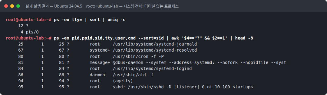 실제 실행 결과 — Ubuntu 24.04.5 · root@ubuntu-lab — 시스템 전체: 터미널 없는 프로세스