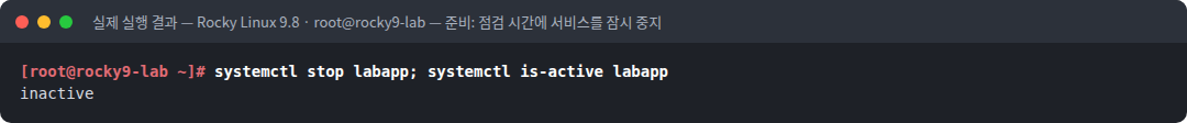 실제 실행 결과 — Rocky Linux 9.8 · root@rocky9-lab — 준비: 점검 시간에 서비스를 잠시 중지